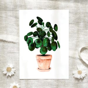 Postkarte Aquarell Blumen | Pilea | Postkarte A6 Karte Botanische Postkarte Geburtstag Geburtstagskarte