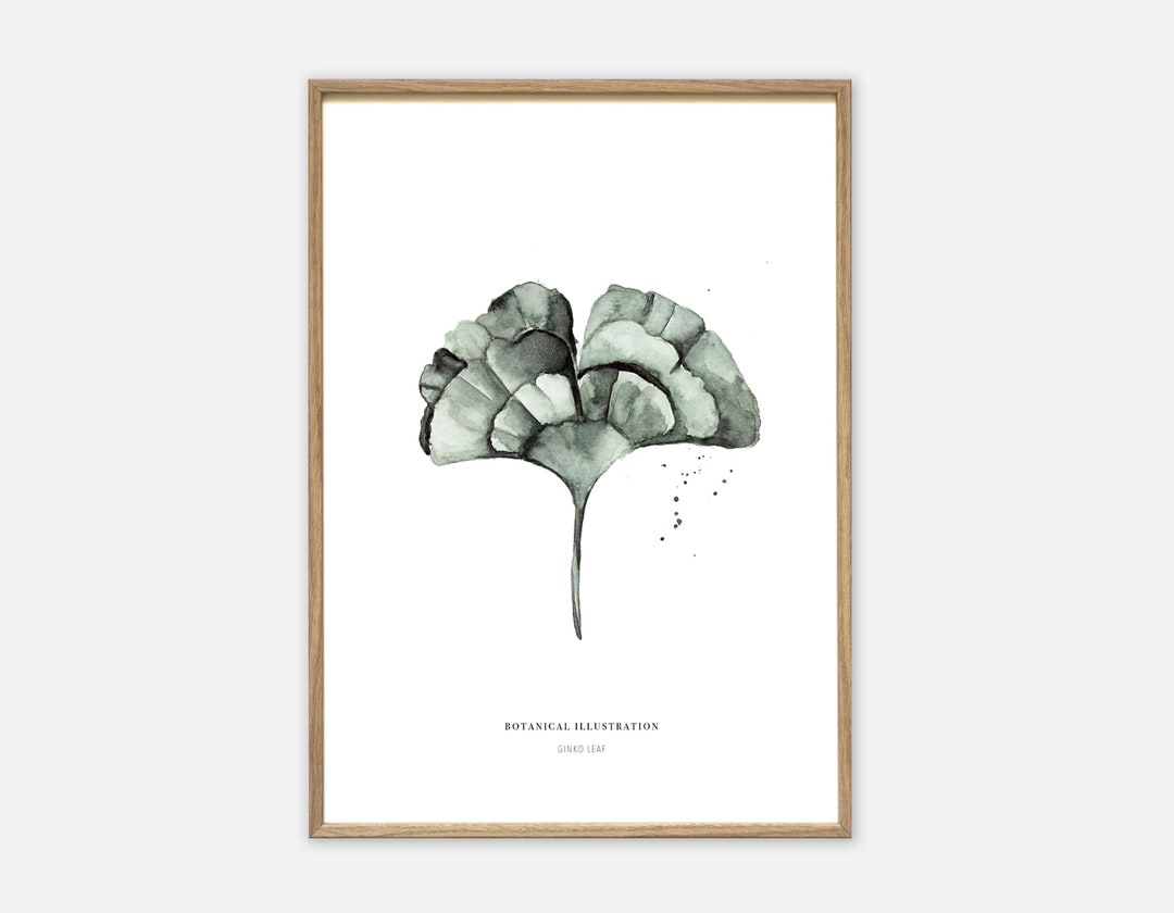 Art Print Ginkgo Poster Plants Pictures Plant Pictures Wall Pictures