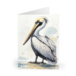 Biglietti d'auguri ad acquerello Pelican (confezione da 5) - Biglietti di auguri per compleanno per amanti della natura e degli uccelli, set di cancelleria, tema fauna selvatica,
