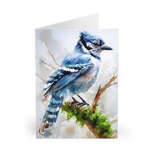 Biglietti di auguri Blue Jay (confezione da 5) - Set di natura per amanti degli uccelli acquerellati, biglietti vuoti per compleanni e qualsiasi occasione - Biglietti di cancelleria per idee regalo,