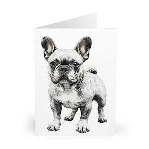 Set di 5 biglietti di auguri per bulldog francese, biglietti di auguri per il compleanno di bulldog francese, confezione da 5, stile moderno minimalista in bianco e nero, eleganti biglietti di auguri,