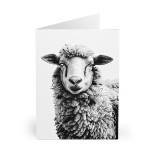 Cartes moutons vierges, noir et blanc, basse-cour, paquet de 5 cartes vierges, cartes de correspondance, cartes de remerciement, cartes d'anniversaire, cartes toutes occasions