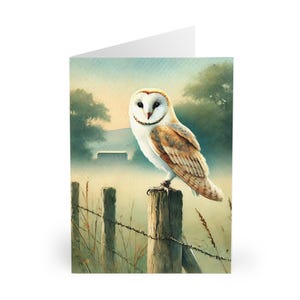 Biglietti di auguri con gufo di palude acquerellati, set da 5 biglietti di auguri, biglietti per amanti della natura, fauna selvatica, amanti degli uccelli, biglietti di compleanno,