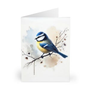 Cartes mésange bleue, lot de 5 cartes pour amateur d'oiseaux, cartes vierges pour anniversaire, cartes de correspondance oiseaux de jardin, lot de papeterie ornithologie, nature mignonne