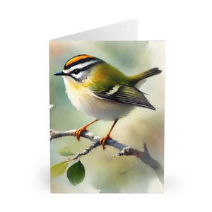Biglietti Goldcrest (set da 5), regalo per amanti della natura, cancelleria per uccelli da giardino, biglietti di auguri sulla fauna selvatica, biglietti di uccelli britannici