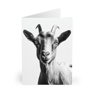 Cartes pour amoureux des chèvres, 5 cartes de voeux, cartes d'animaux, ensemble de papeterie, lot de cartes pour correspondance, cadeaux avec les animaux de la ferme