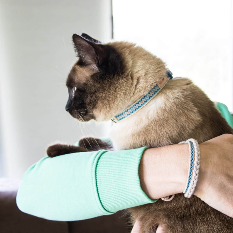 May include: A person holding a Siamese cat with blue and white patterned collar and a braided blue and white bracelet. The cat is looking to the left.