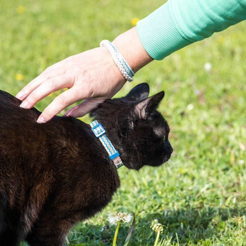 May include: A black cat with a blue and white patterned collar is being petted by a hand wearing a white and blue patterned bracelet. The cat is looking away from the camera.