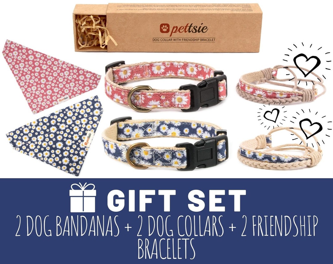 Pettsie Dog Collar With Bracelet Pettsie Gift Set Blue And Pink Dog