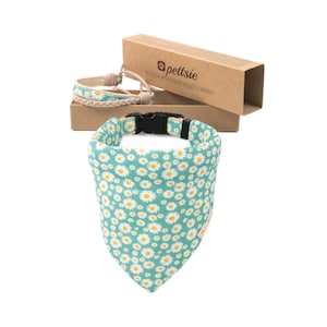 Pettsie Matching Dog Collar with Bandana & Owner Friendship Bracelet, Gift Box Included, Durable Hemp for Extra Safety, 3 Adjustable Sizes