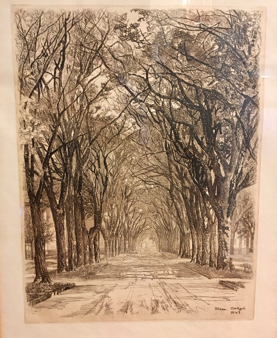 Ellen Oakford 1889 Print "Alley of Trees"  Framed