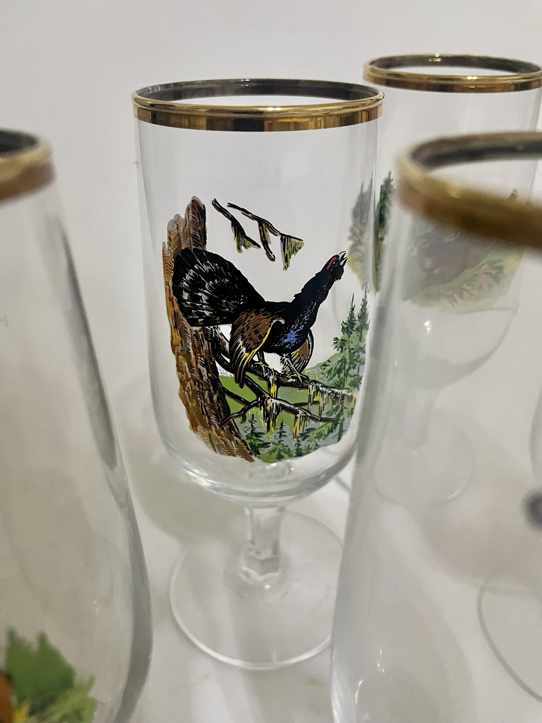 16oz Glass Tumbler — Bear Country Gallery