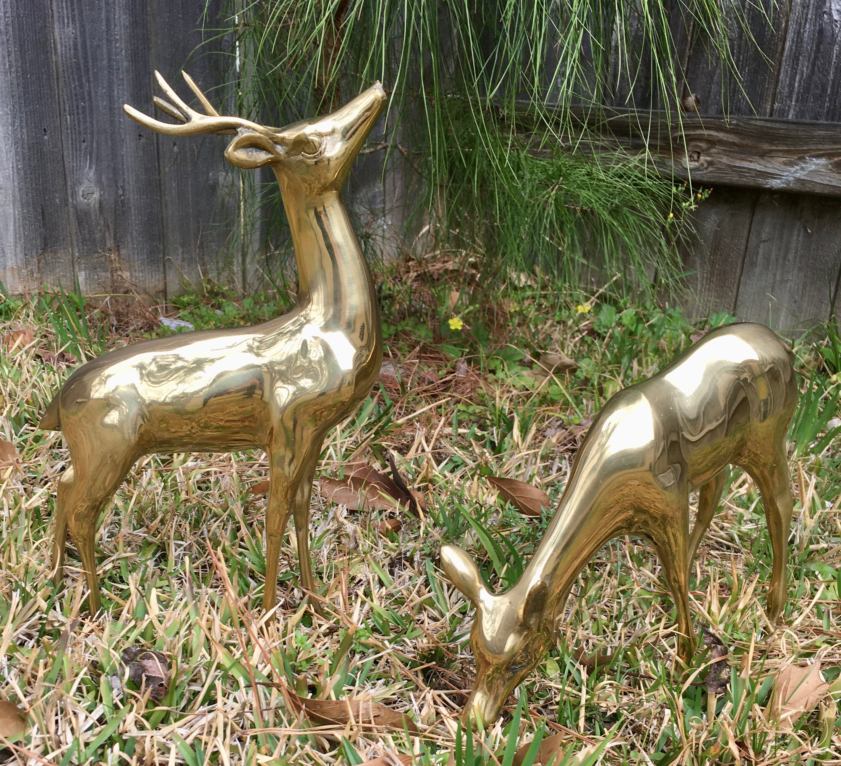 Brass Buck 13.25 and Doe 8.5 Large Smooth Deer