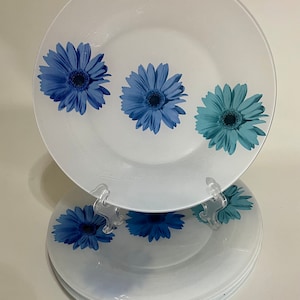 Luminarc International Blue Florals Fun Tableware 9.75&quot; Dinner Plates  Set of 6