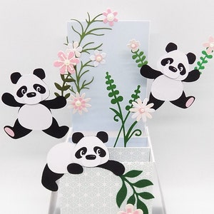 Pop up card. Panda birthday Thinking of you Get well Thank you handmade exploding box card Personalise names, greeting Free
