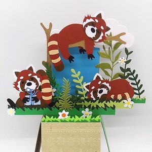 Pop-upkaart Rode panda. verjaardag handgemaakte exploderende dooskaart. Personaliseer naam/begroet/bericht GRATIS