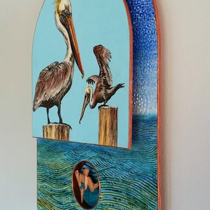 Brown Pelicans image 5