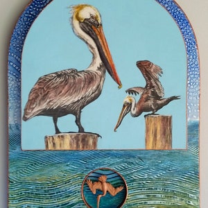 Brown Pelicans image 1