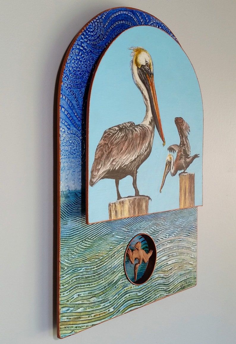 Brown Pelicans image 4