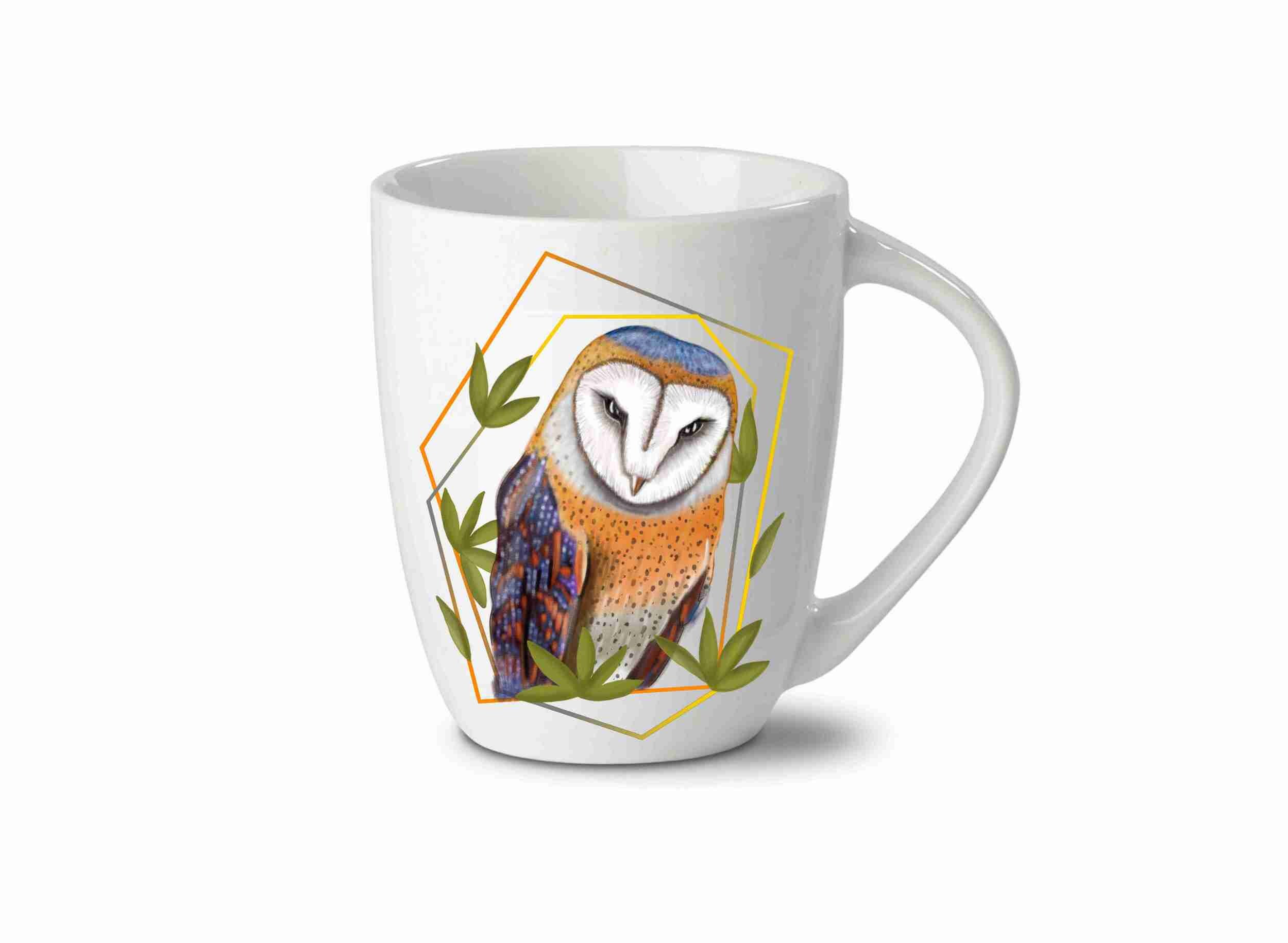 Barn Owl, Predatory Bird, Hand Drawn, Sublimation Design, Download ...