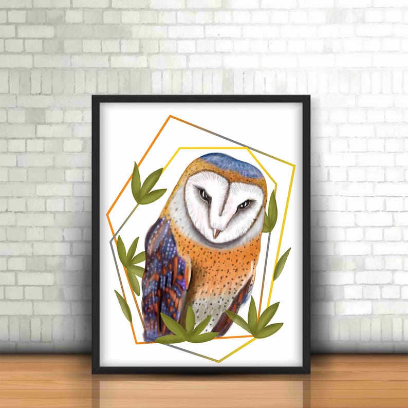 Barn Owl, Predatory Bird, Hand Drawn, Sublimation Design, Download ...