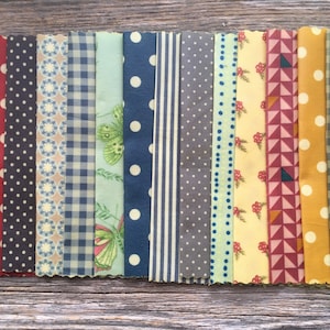Könnte beinhalten: Ein Set aus 18 Stoffresten mit verschiedenen Mustern, darunter geometrische, florale und Punkte. Die Stoffe sind in Blautönen, Rot, Gelb, Grün und Braun.
