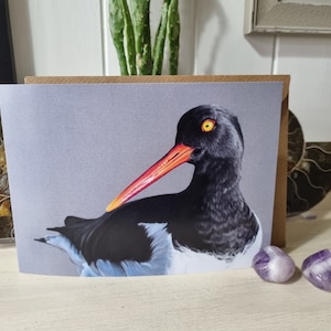 Oystercatcher greetings card - available as a single card or pack of five