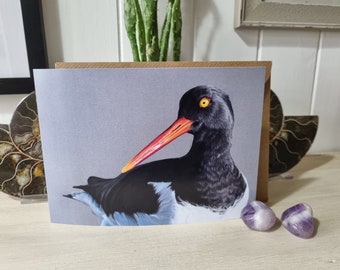 Carte de vœux Oystercatcher - disponible en carte individuelle ou en paquet de cinq