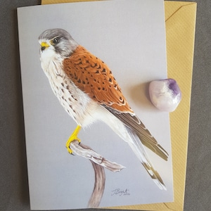 May include: A greetings card with a detailed illustration of a kestrel perched on a branch. The bird has brown, white, and grey feathers, with yellow feet and a yellow beak. The card is with a gold envelope and a purple gemstone.