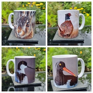 Earthenware ceramic British wildlife mugs - various designs all from original pastel drawings by Norfolk artist Jacqueline Bright
