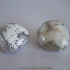 Dendritic Opal - Merlinite - Crystal Mineral Specimen