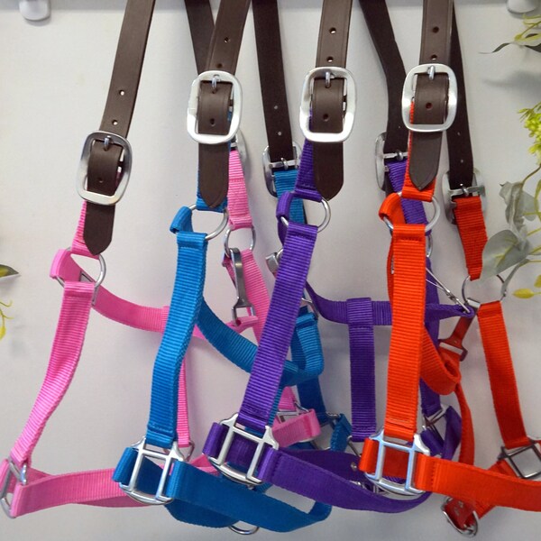 Breakaway Halter-Full Horse Cob Pony Breakaway strap Nylon halters-3 sizes 4 colors-Pink Purple Red Royal Blue! Keep 'em Safe!