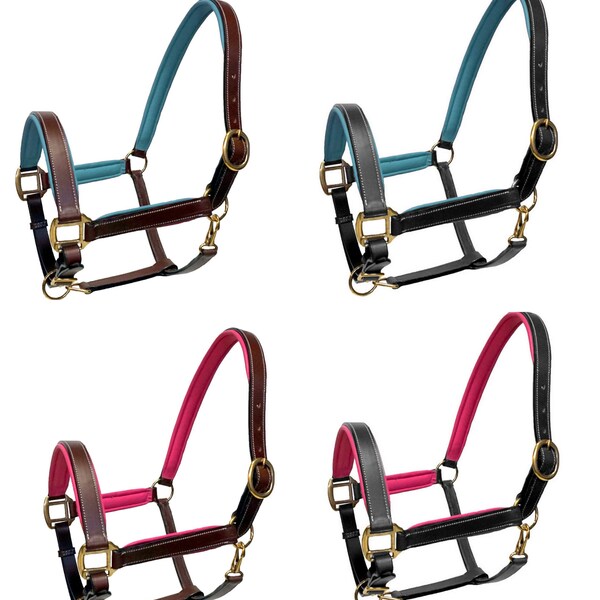 Rich Brown Or Black track show leather halter with Pink or Teal accents-Horse Cob Or Pony size -Good Gift Idea!