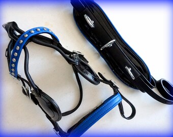 Black w/Blue accents Pony Single Harness- Driving cart Complete Set- Bridle+ Breastcollar+ Breeching+ Saddle w/girth. Training & Driving!