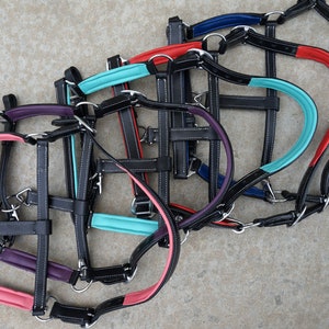 Stunning BROWN/ BLACK track show leather halter-Nickle plated with Pink Teal Purple Read Royal Blue accents-XLg Full Horse Cob Pony sizes