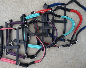 Stunning BROWN/ BLACK track show leather halter-Nickle plated with Pink Teal Purple Read Royal Blue accents-XLg Full Horse Cob Pony sizes