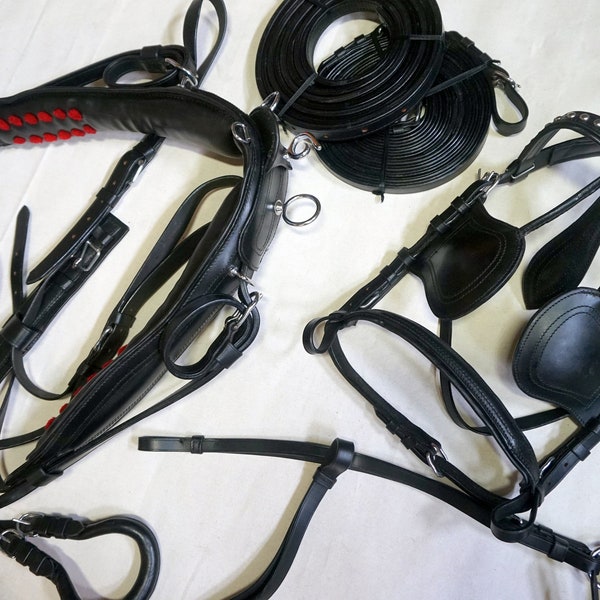 Mini Horse Driving Bridle Etsy