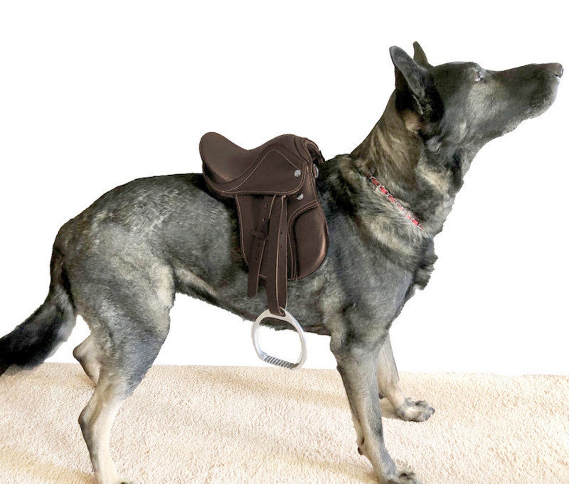 Popular Mini 9 Rocking Horse SaddleToy Souvenir Dog Etsy
