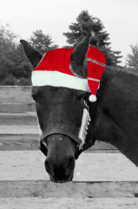 Popular Christmas Holiday Collection for Your Horse Dress up for Parades in  Red White Accessories-halter Wraps Cap 