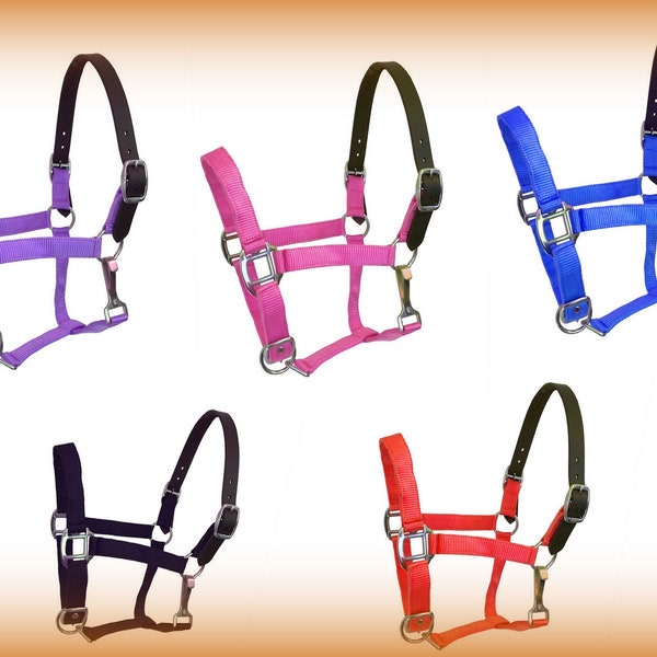 Breakaway Halter-Full Horse Cob Pony Or Foal Breakaway strap Nylon halters-4 sizes 5 colors-Pink Purple Red Black Royal Blue! Keep 'em Safe!