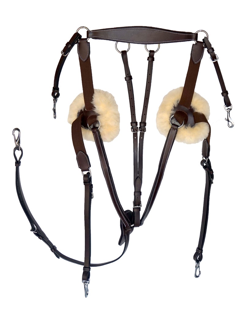 5 Point English Breastplate with TEAL R BLUE Pink White Etsy