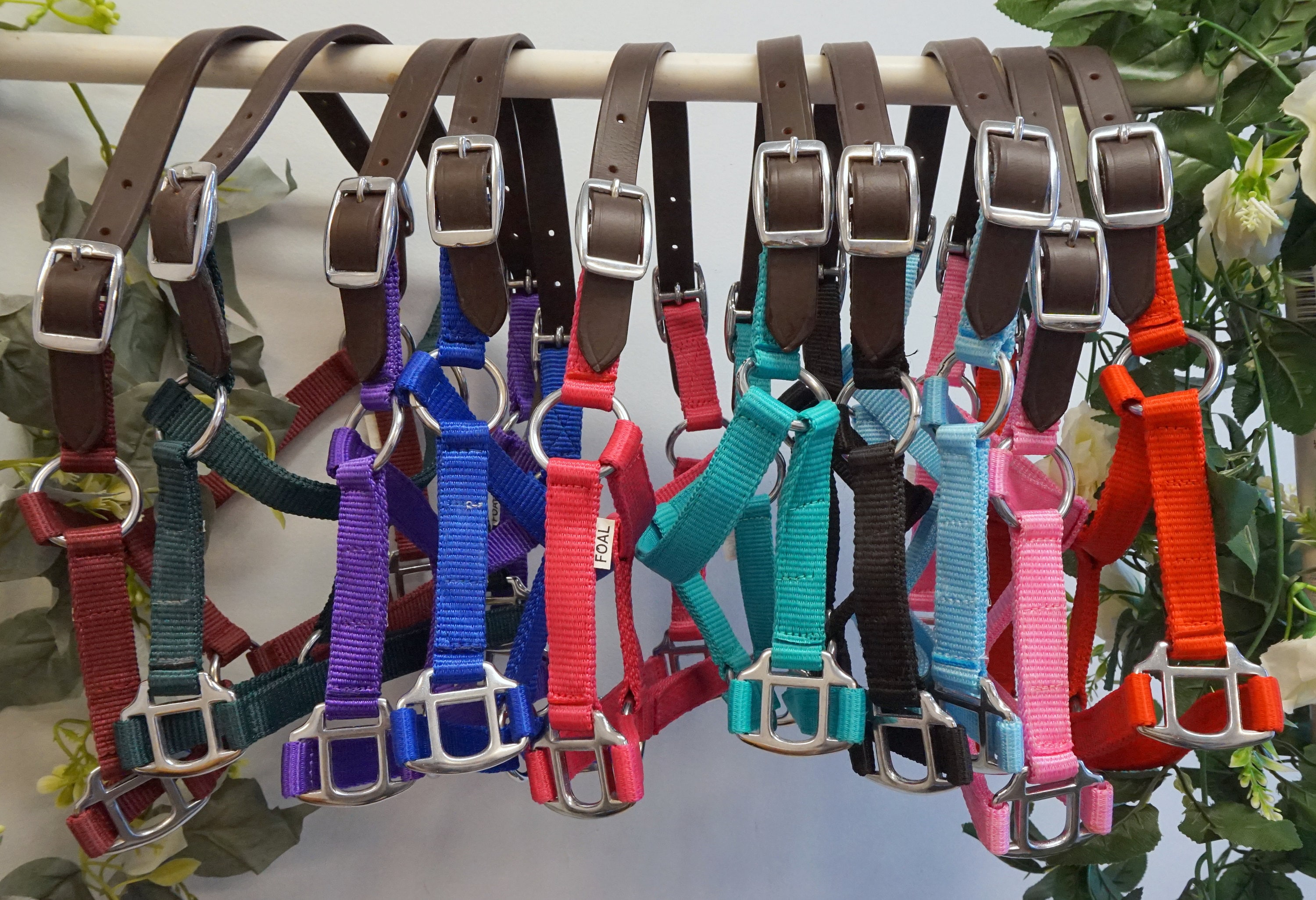 Beautiful Foal Halters:Breakaway Crown Nylon Halter Foal Mini Halter Lot of 10 Or 1. Ten Bright colors!