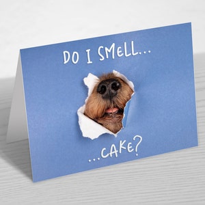 Funny Dog Peeking Through Card - Dog Birthday Card - Card From The Dog - Funny Animals Greeting Card - 5x7 inches blank card