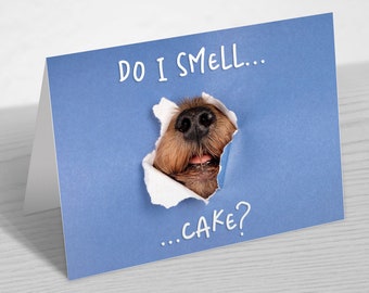 Funny Dog Peeking Through Card - Dog Birthday Card - Card From The Dog - Funny Animals Greeting Card - 5x7 inches blank card