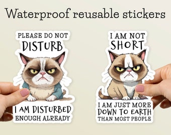 Set van 2 waterdichte stickers Grumpy Cat - elk 2 x 3 inch - laptop, waterfles, autoruit - Duurzaam en weerbestendig - stickers Funny Cat