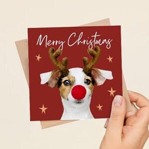Jack Russell Retriever-kerstkaart - grappige kerstkaart - hond met rendiergewei en rode neus - kerstwenskaart voor hondenliefhebbers