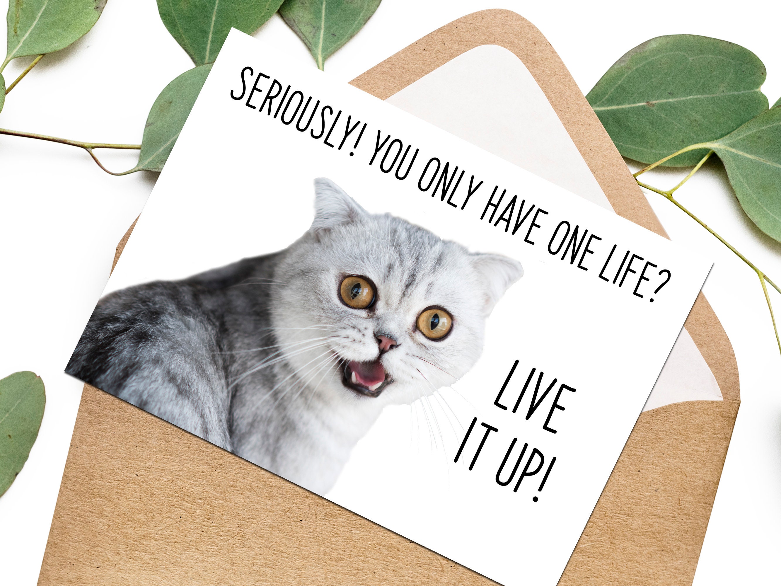 : bhiosng happy birthday card for cat lover, funny... Funny Cat Birthday Card Greeting Card for Cat Lovers Crazy Cat Lady ...