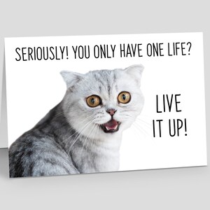 Funny Cat Birthday Card - Greeting card for cat lovers - Crazy Cat Lady Birthday Card - blank birthday card - Humorous feline birthday card