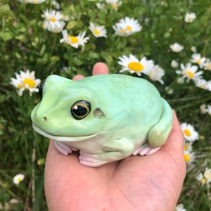 Handmade Jade Green Honey Yellow Tree Frog Figurine Personalized Gift | Cute Small Polymer Clay White's Tree Frog Memorial Sculpture Statue