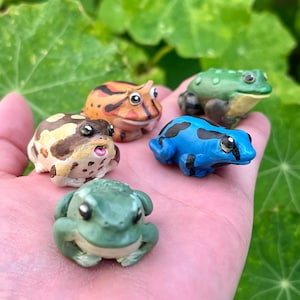 May include: Five hand-painted frog figurines, each with unique colors and patterns. The frogs are made of ceramic and have a glossy finish. The frogs are arranged on a hand, with the blue frog in the center.